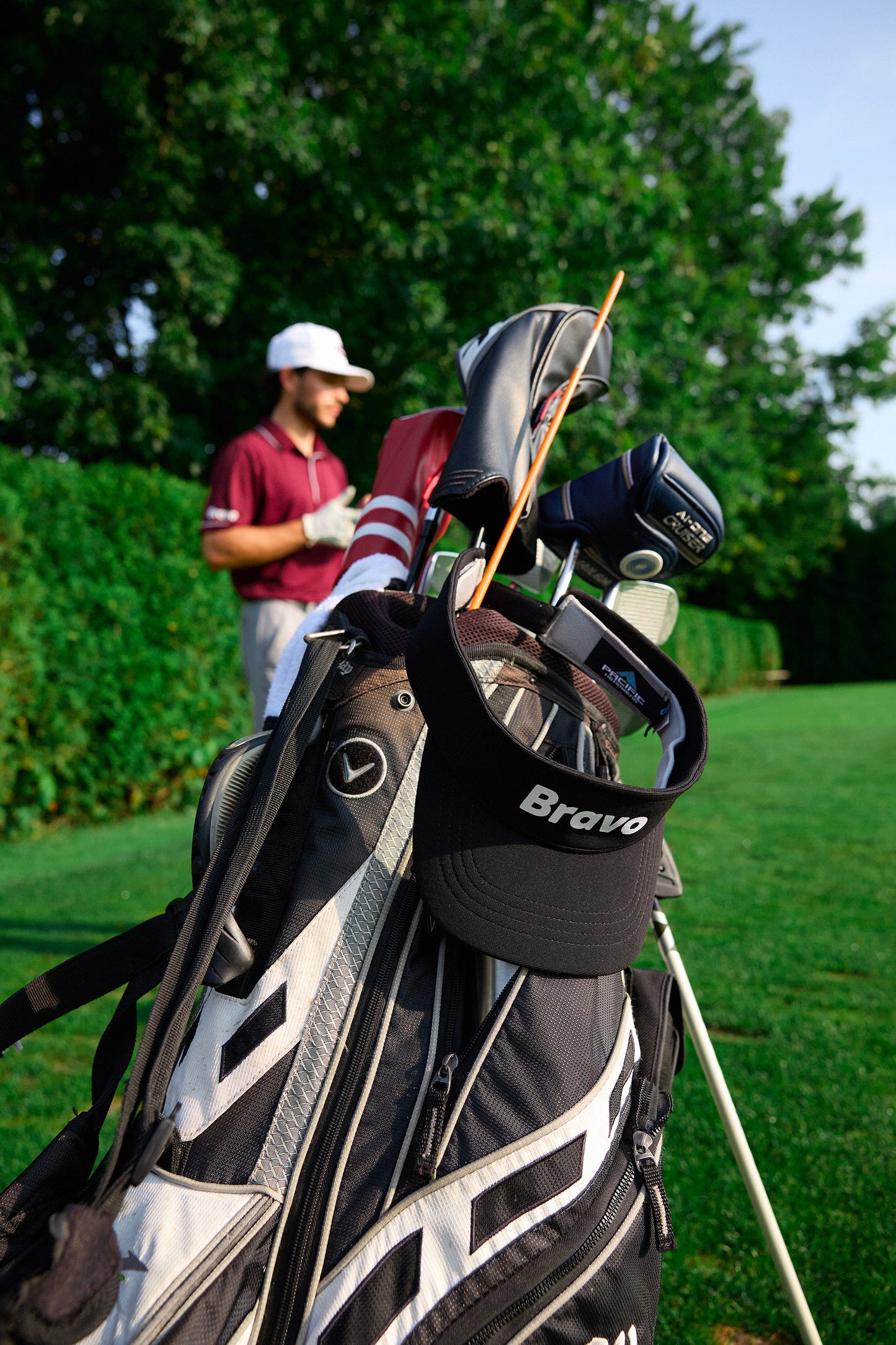 BRAVO PERFORMANCE VISOR