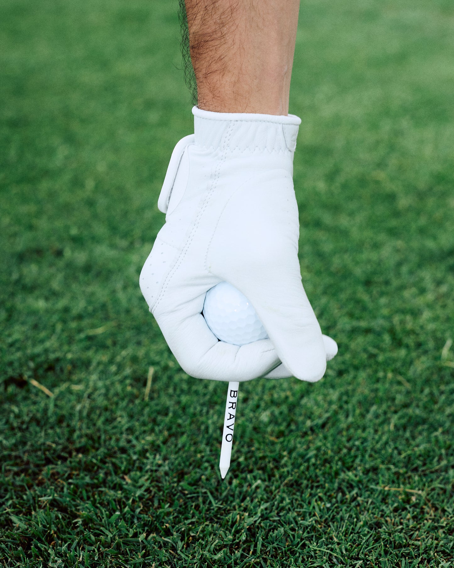 BIODEGRADABLE WOODEN GOLF TEES